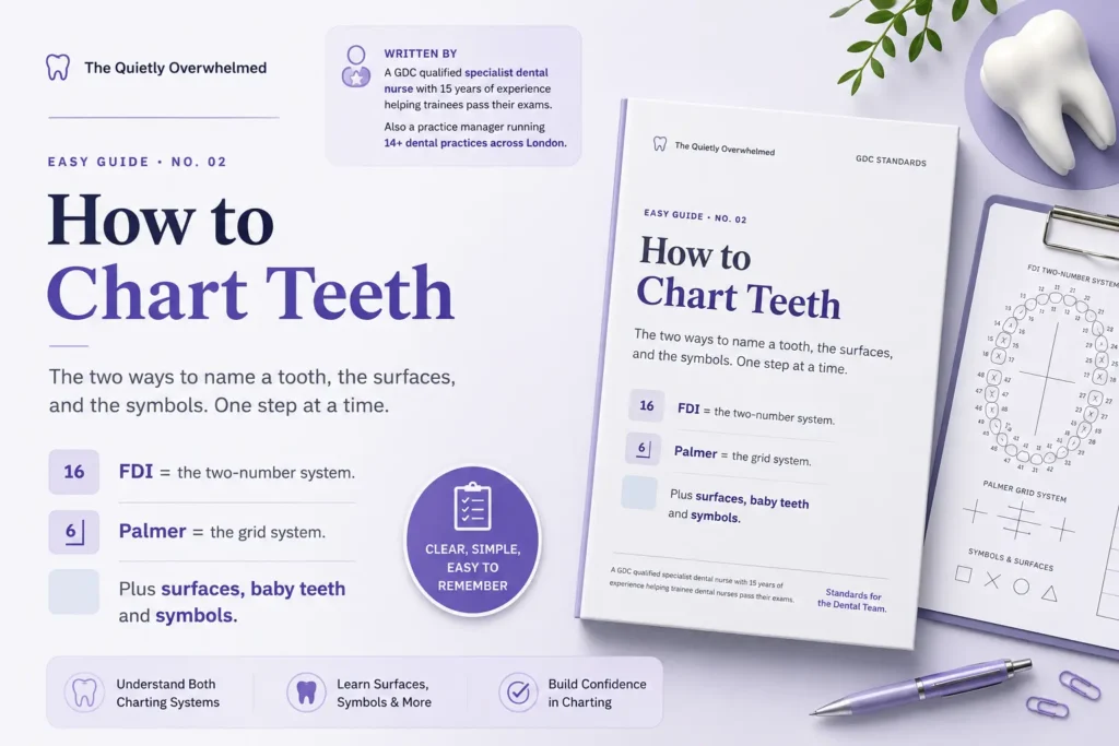 Dental charting guide